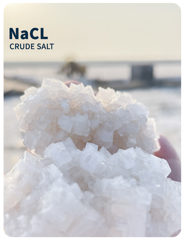 九州酷游(ku游娱乐)官方网站